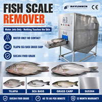 Usine de Transformation Écailleuse Automatique à Poisson SUS304 Double Pompe Italienne pour Tilapia Préparation du Poisson