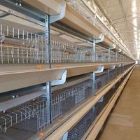 Cages à poulets galvanisées multicouches de haute qualité avec moteur conçu pour l'élevage de poulets, alimentation automatique, longue durée de vie
