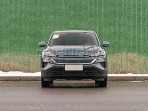 Voiture électrique Dongfeng M-NV 2021 version Shangcheng pour adultes - Product Image 4