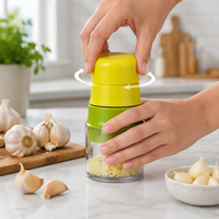 Ensemble hachoir manuel 3-en-1 pour ail et noix, presse-ail torsadée en plastique ABS, récipient transparent en PS, mini hachoir à épices, outil de cuisine