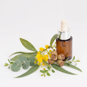 100% Pure <b>Eucalyptus</b> Leaves Essential Oil Steam Distilled Manufacturer From India - Product Image 1
