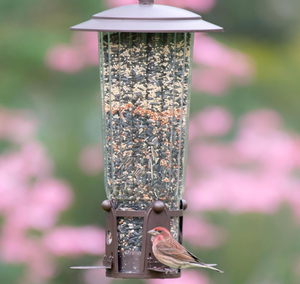 Tempat Makan Burung Liar Terbaik Squirrel-Be-Gone Max Ukuran Besar, Anti Burung, dengan Tempat Bertengger yang Diaktifkan Berat Badan, Kapasitas Biji 4LB - Product Image 4