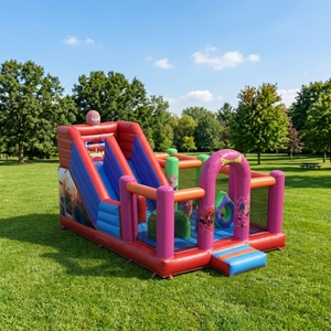 Divertido Desafío Interactivo al Aire Libre, Pista de Obstáculos Colorida de 6x6m, Castillo Inflable Extremo, Juegos Inflables de PVC, Fácil de Instalar - Product Image 1