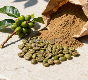 Polvo de extracto de grano de café verde 50% de alta calidad 25kgs aditivos alimentarios de café Arábica verde - Product Image 4