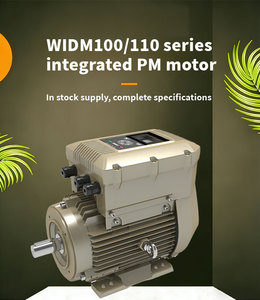 Motor Síncrono de Imán Trifásico de Alta Eficiencia WO.LONG, IP65, Compacto, Bajo Nivel de Ruido, Personalizable, 3000 RPM, Equipado con WIDM100 - Product Image 1