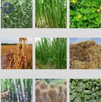 Hacheuse de fourrage électrique pour animaux (vaches, moutons) – Riz, blé, paille, herbe, maïs, ensilage – Coupe-paille pour aliments animaux