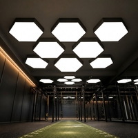 Plafonnier LED modulaire hexagonal pour salle de sport, studio de fitness