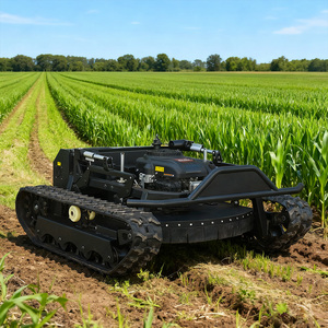 Giá rẻ tự hành Zero lần lượt mini điều khiển từ xa Robot weeder cho nông nghiệp Weed cắt DIY cắt cỏ - Product Image 2