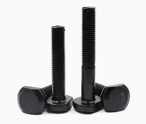 Boulons en T en acier inoxydable SS304 SS316 M6 M8 M12 M14 Passication DIN186 DIN188 - Product Image 4