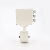 Débitmètre électromagnétique numérique micro-miniature en acier inoxydable, haute précision, protection IP68 pour applications de fluides aqueux