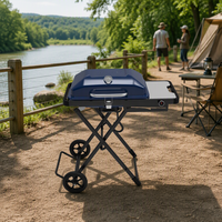Barbecue à gaz portable pour le camping, la cuisine en plein air, le jardin, construction en alliage d'aluminium et d'acier, barbecue multifonctionnel commercial