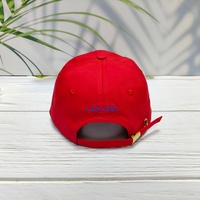 Gorra de Béisbol de 6 Paneles, Bordada a Mano, con Logotipo Personalizado, Estampado Floral Deportivo, Neutral, de Algodón, Sin Estructura, Formal, Comercial