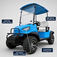 Voiturette de golf à essence 2 places 4 temps GY6 300CC, buggy tout-terrain 2 personnes, couleurs personnalisées OEM, 45 km/h, autonomie 100-120 km