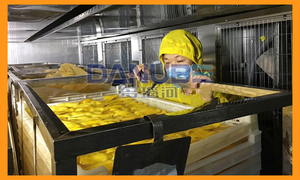 Precio de fábrica: Bandeja secadora de mango, cámara de secado automática de pepinos, horno para vegetales, ¡superventas! - Product Image 3