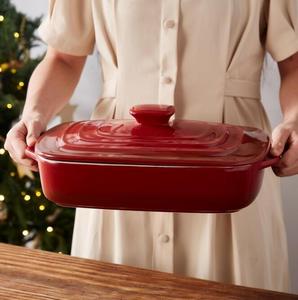 Casserole <span class=keywords><strong>en</strong></span> <span class=keywords><strong>fonte</strong></span> avec couvercle, plats de cuisson rectangulaires <span class=keywords><strong>en</strong></span> grès couverts de 4.0 pintes pour four - Product Image 4