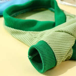Chaleco de Felpa para Perro, Diseño Bonito, Color Verde Sólido, Material de Poliéster, Origen Zhejiang - Product Image 2