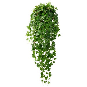 Décoration murale en lierre artificiel Hua Qianyun, petite taille, fleurs en soie pour la maison et les accessoires de mariage - Product Image 5