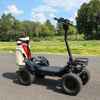 Carro de Golf Plegable de 4000W a Precio de Fábrica, Mini Carro de Golf de 1 Plaza, Buggy de Golf 60V 4x4, Vehículo Utilitario de 1 Plaza, Carro de Golf Eléctrico de 4 Ruedas