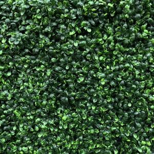 Panel de hierba de hojas verdes de plástico, pared de vegetación, planta de pared <span class=keywords><strong>Artificial</strong></span> para decoración de jardín y hogar - Product Image 3