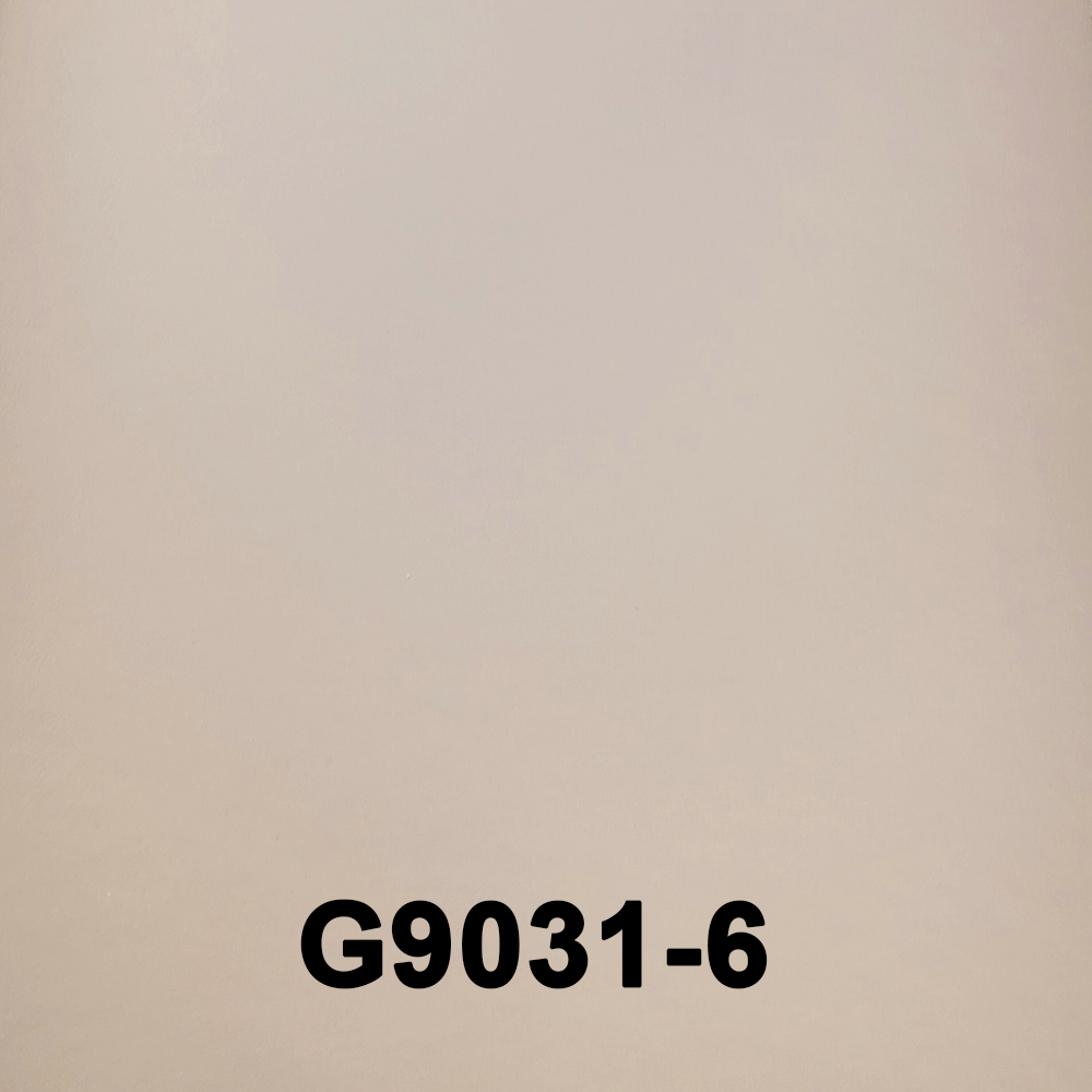 G9031-6