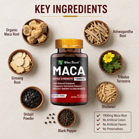 Maca Racine Énergie Comprimé Supplément Masculin Extrait de Racine de Ginseng Capsules Pour Hommes Femmes