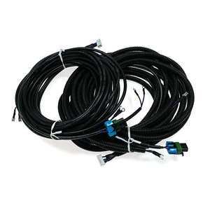 Özelleştirilmiş Otomotiv Metripack 2 Pin 280 Serisi Erkek Konnektör 15300002 - 20 Pin PHSD Konnektör UL2464 2 Çekirdekli Kablo Grubu - Product Image 1