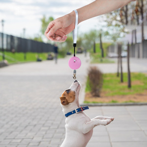 Correa Retráctil para Mascotas de 2 Metros, Correa de Tracción Automática para Perros Pequeños, Mini Correa Redonda y Cuadrada Resistente para Exteriores - Product Image 1