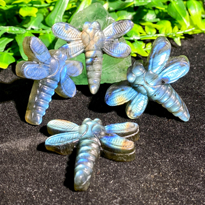 Bán buôn tinh thể tự nhiên đá màu xanh Flash Labradorite pha lê Labradorite chuồn chuồn khắc để trang trí - Product Image 4