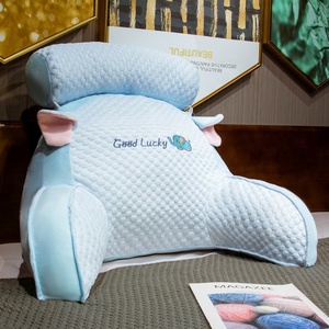 Cuscino Lombare all'Ingrosso, Cuscino per Testiera, Divano <span class=keywords><strong>Letto</strong></span>, Cuscino da Lettura per Dormitorio, Rimovibile, Comodo e Pratico - Product Image 6