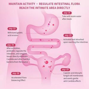 OEM Candida Reinigingscapsules Natuurlijke Kruiden voor het Reinigen van de Darmen en de Colon en Ontgiftingcapsules. - Product Image 5