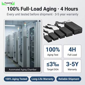 <span class=keywords><strong>Chargeur</strong></span> de batterie lithium-ion 25,2V 29,4V 6A 8A 200W 6S pour véhicule électrique, équipement industriel, certifié CE UL - Product Image 5