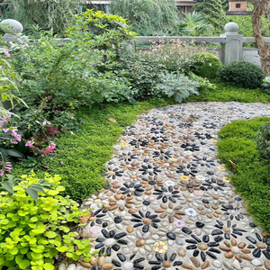 High-Gloss <strong>Polished</strong> Natural <strong>River</strong> <strong>Stone</strong> and Cobble Pebbles Rain Flower Effect Paving Stones for Villa Park Outdoor Landscape - Product Image 6