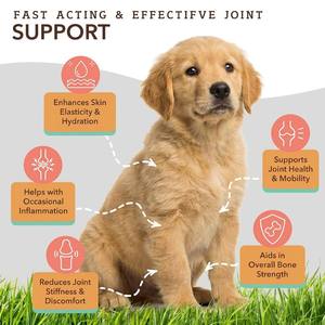 <span class=keywords><strong>Prix</strong></span> d'usine OEM/ODM – Complément multi-collagène à mâcher pour chiens, favorisant la santé des articulations, du cartilage et de la peau - Product Image 3