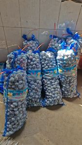 Aglio fresco nuovo raccolto normale bianco e puro bianco fornitura dalla fabbrica di aglio cina con aglio di alta qualità - Product Image 5