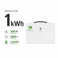 Système de stockage d'énergie résidentiel XDQ Pioneer1-500 1kWh LiFePO4 314Ah, générateur solaire 500W MPPT pour petite maison, OEM disponible