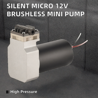 Pompe à diaphragme sans huile à haute pression, moteur électrique sans balais silencieux Micro 12V/24V DC, bouchon de vin rouge, mini pompe à vide OEM JSG