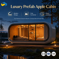Maison préfabriquée de luxe, Cabine Apple, Capsule spatiale, Maison mobile modulaire, Mini-maison extérieure, Villa de villégiature, Usine de vente en gros