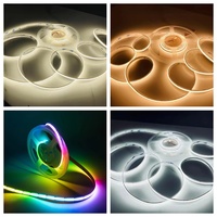 Bande LED RGB haute tension approuvée CE ROHS, étanche, SMD 5050, corps en PVC, 6000K, IP65, télécommande, éclairage à intensité variable