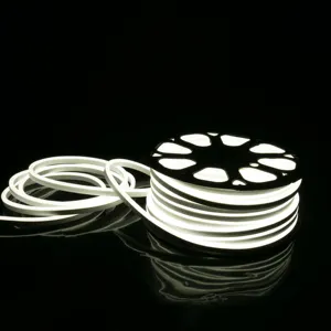 Led Strip Light 220v Neon Rgb/warm White 3000k 2835 LEDs With 120leds Per Meter 10W/M CE ROHS Approved