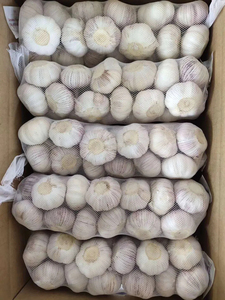 Toptan Premium Taze Çin Sarımsağı |   Normal Beyaz Sarımsak Fabrikası Tedarikçisi |   Düşük Fiyatlı Toplu İhracat Sarımsak - Product Image 4