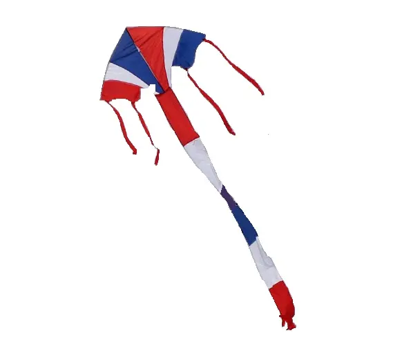 Bandeira delta kites bandeira promocional <span class=keywords><strong>kite</strong></span> com logotipo do <span class=keywords><strong>cliente</strong></span> e designs