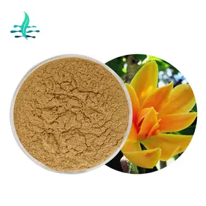 Bulk Supply Natural Orchid Extract Powder