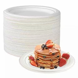 Assiettes jetables en pulpe de bagasse de 9 pouces, sans BPA, compostables, robustes, lot de 125, biodégradables, en fibre de canne à sucre, pour plats à emporter - Product Image 6