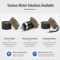 Moteur à aimant permanent Faradyi 6025 24V 36V 48V à bobine entièrement en cuivre certifié ROHS, couple élevé, sans cadre, pour drones
