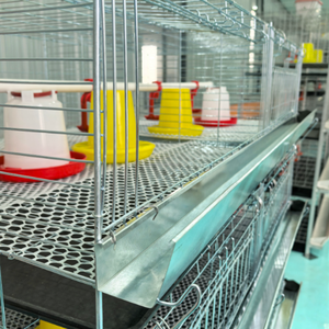 Resistente H-Type in acciaio zincato Multi-funzionale gabbia per pulcino del bambino nuova gabbia per nidificazione di pollo da fattoria per poltiglia di pollame - Product Image 2