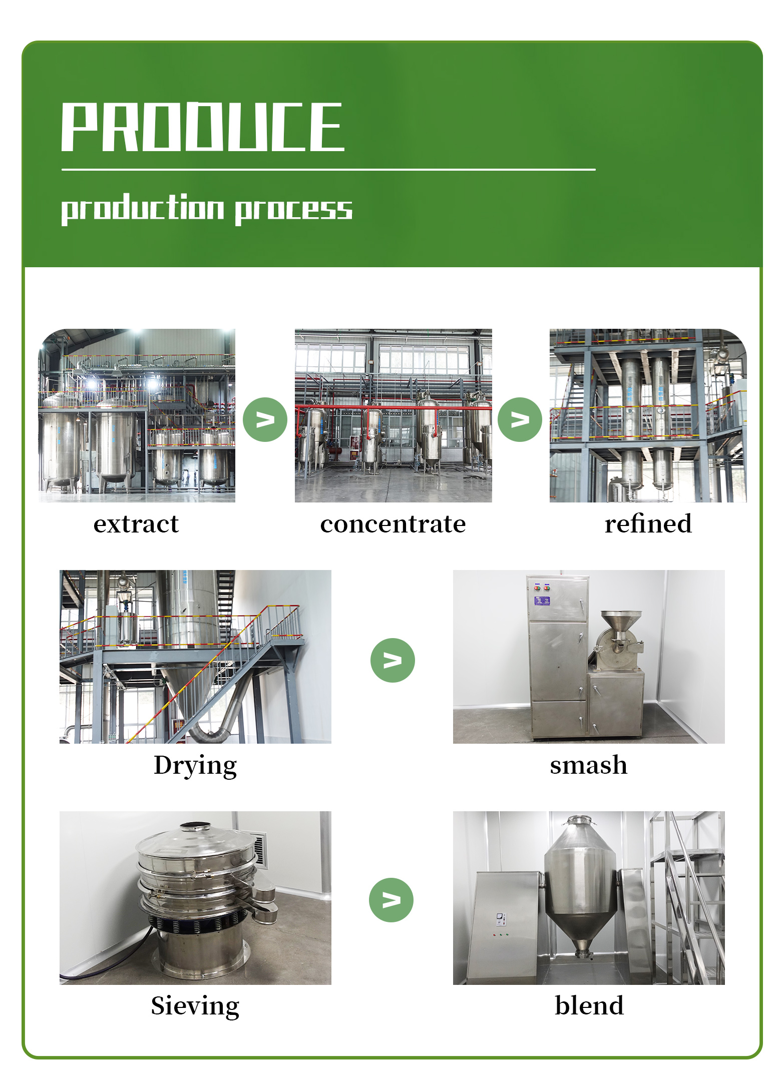 100% ভেষজ ক্র্যানবেরি ফলের রস নির্যাস পাউডার OEM প্যাকিং 2