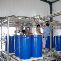 1 ~ 60 Ton/Uur Fabriek Directe Verkoop Perzik/Abrikoos/Pruim/Avocado Natuurlijk Sap Maken Machine Complete Verwerkingslijn