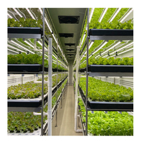 Vertical Farming Hydroponic Growing Systems