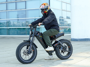 Bicicleta Eléctrica Híbrida Eahora Romeo II Personalizada de 250W 48/52V 60Ah con Llantas Gruesas de 26 Pulgadas y Batería de Litio de Largo Alcance para Adultos - Product Image 4