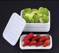 Barquettes alimentaires jetables en PP de qualité alimentaire, classiques, pour la vente en gros, compatibles micro-ondes, pour le camping, les restaurants et les fêtes